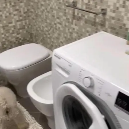 Apartman I Larici *